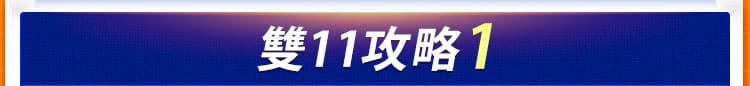 雙11攻略1