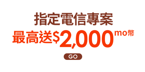 指定電信專案