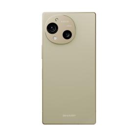 SHARP SHARP AQUOS R10_12G/256G-(米)(5G)_TWM