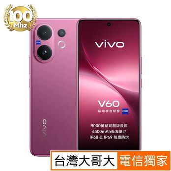 vivo V60
