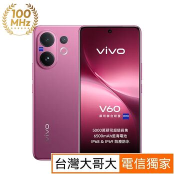 vivo V60