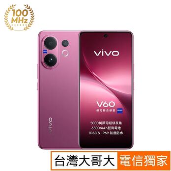 vivo V60