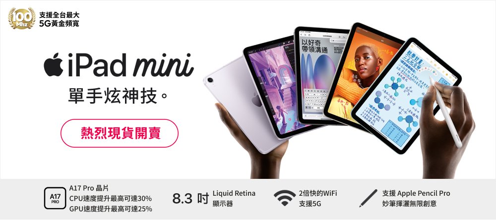 iPad mini
