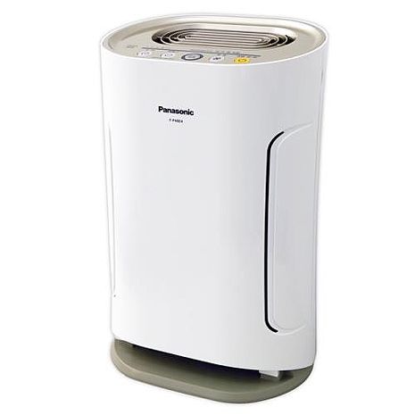 Panasonic 國際牌 8坪負離子清淨機 F-P40EH