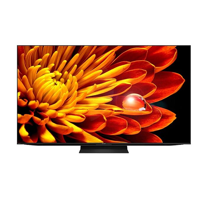 SHARP夏普75吋4K聯網電視4T-C75FV1X【智慧家庭】
