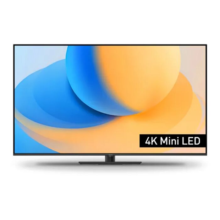 【智慧家庭】Panasonic國際牌65吋4K連網智慧顯示器TV-65W95AGT WIFI聯網(含標準安裝)