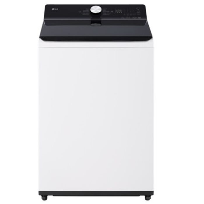LG樂金16公斤變頻洗衣機WT-TD16HW(含標準安裝)