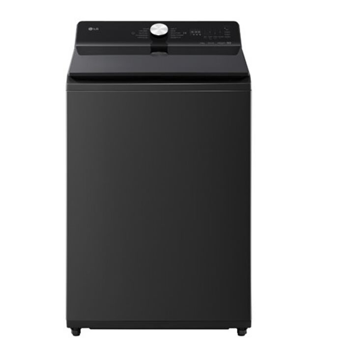 LG樂金16公斤變頻洗衣機WT-TD16OB(含標準安裝)