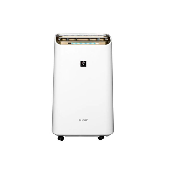 SHARP夏普12公升/日自動除菌離子2合1空氣清淨除濕機DW-LT12FT-W(無安裝 純配送到一樓)