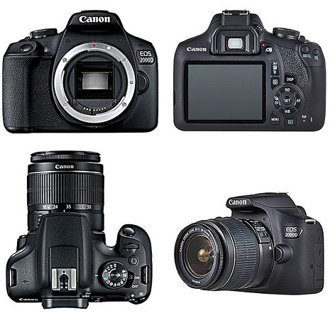 【Canon】EOS 2000D +18-55mm III+75-300mm III 雙鏡組(中文平輸)