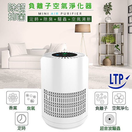 LTP除蹣抗菌負離子+hepa濾網 双效淨化 可定時室內空氣清淨機CCH05(雙11)