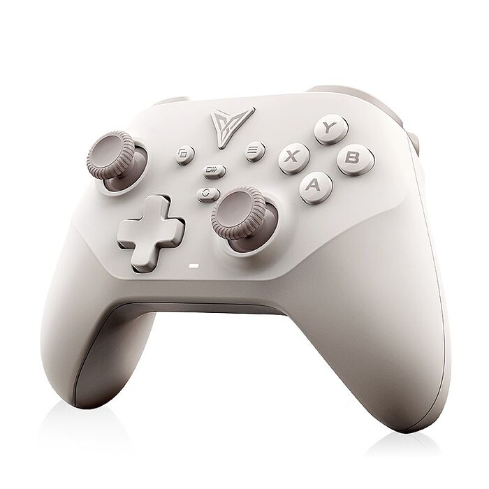 【FLYDIGI 飛智】沙漠狐 遊戲手把