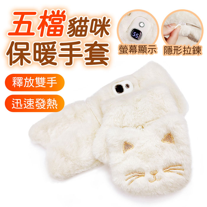 FJ數顯五檔可調貓咪保暖手套H5(TYPE-C充電 加熱x保暖 交換禮物 雪天 冬季必備)