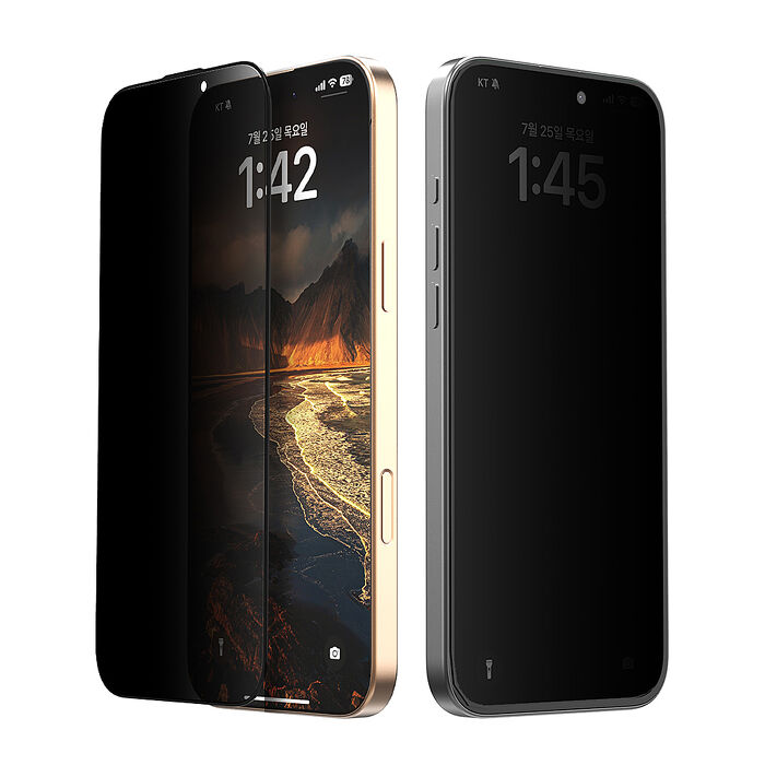 Araree Apple iPhone 16 系列 防窺強化玻璃螢幕保護貼(2片裝)