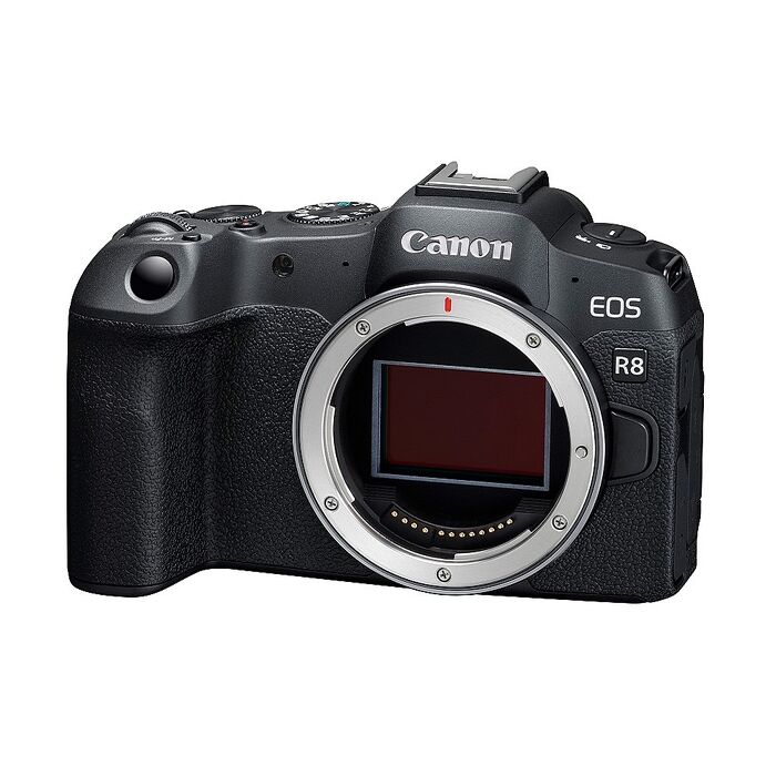 Canon EOS R8 單機身 (公司貨)