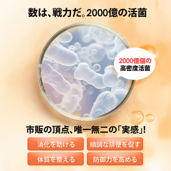 船井 2000億益生菌30包/盒X4(日本原裝進口)