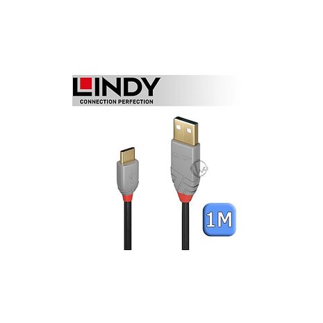 LINDY 林帝 ANTHRA USB 2.0 Type-C/公 to Type-A/公 傳輸線 1m 兩入組 (36886)