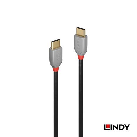 LINDY 林帝 ANTHRA USB 2.0 Type-C 公 to 公 傳輸線 1m 兩入組 (36871)