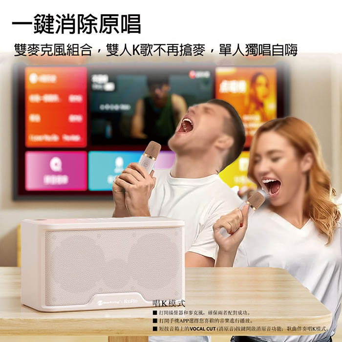 KooPin 雙人對唱行動KTV/藍牙喇叭無線麥克風組(附贈收納提袋)
