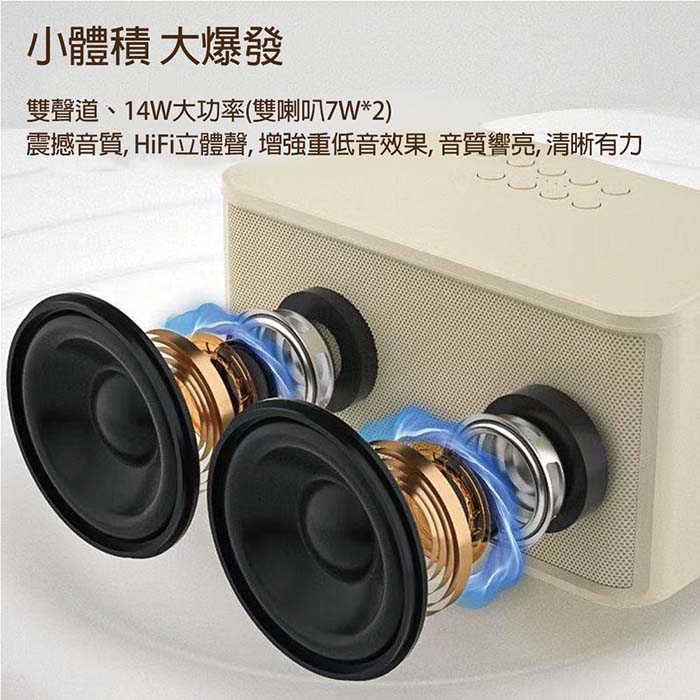 KooPin 雙人對唱行動KTV/藍牙喇叭無線麥克風組(附贈收納提袋)