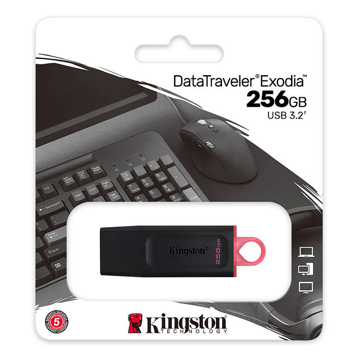 Kingston 金士頓 256GB DataTraveler Exodia DTX USB3.2 隨身碟