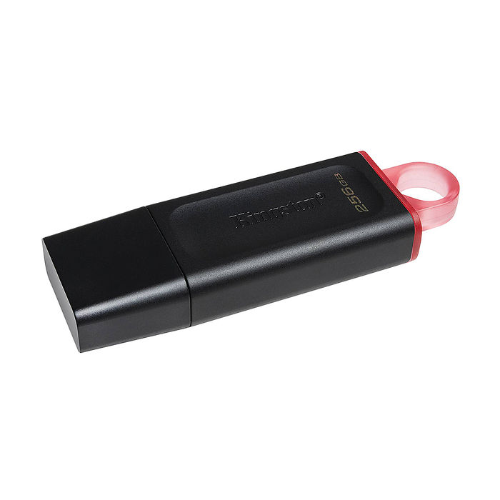 Kingston 金士頓 256GB DataTraveler Exodia DTX USB3.2 隨身碟