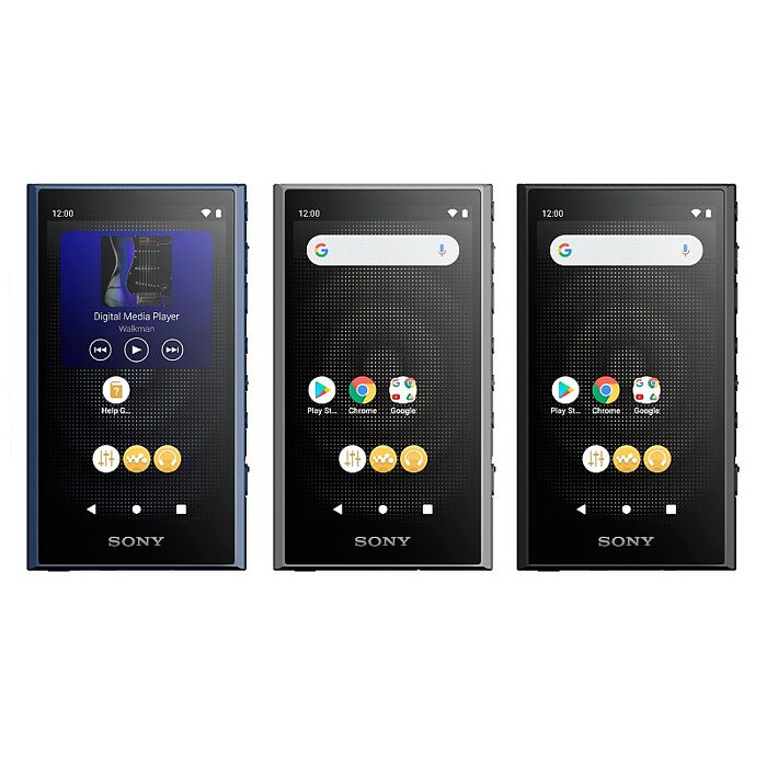 【送原廠皮套】SONY 索尼 NW-A306 高解析音質 Walkman 數位隨身聽 三色可選