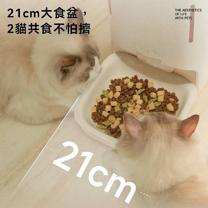 meoof 覓凹 慕斯智能餵食器 寵物餵食器 視訊版 MSF105