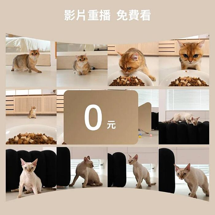 meoof 覓凹 蛋捲餵食器 寵物餵食器 - 視訊版 獨享碗 MSF202S