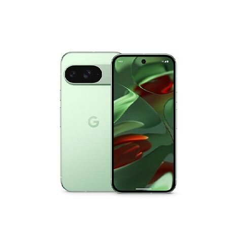 Google Pixel 9 5G (12G/128G) 智慧型手機