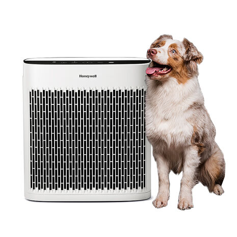 美國Honeywell 淨味空氣清淨機 HPA5250WTWV1 (適用10-20坪｜小淨)