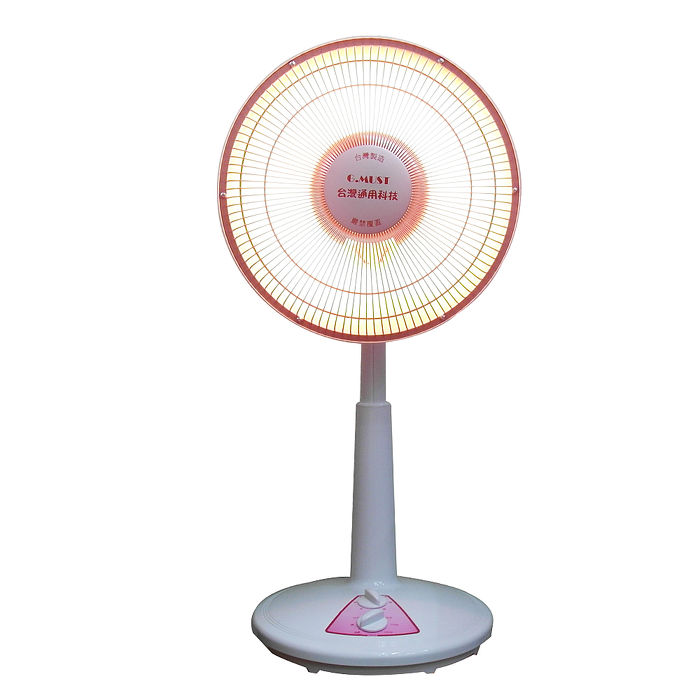 【G.MUST 台灣通用】12吋定時炭素燈電暖器(GM-3512A)