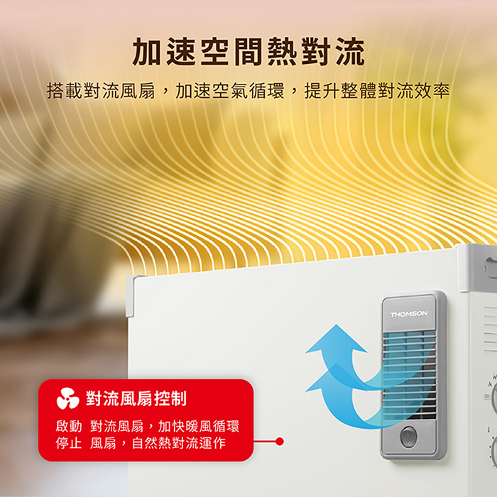 【THOMSON】出風對流式電暖器(TM-SAW39F)