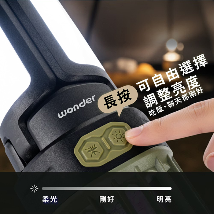 WONDER 旺德 露營照明捕蚊燈(WH-G24L)
