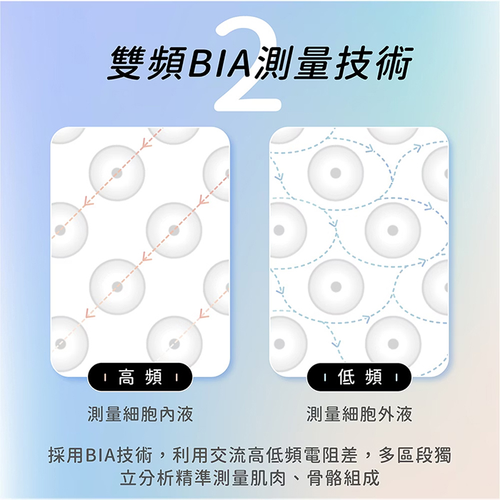 BLAUPUNKT 德國藍寶 Wi-Fi 藍牙大螢幕八點傳感體脂計(BPH-ME02W)