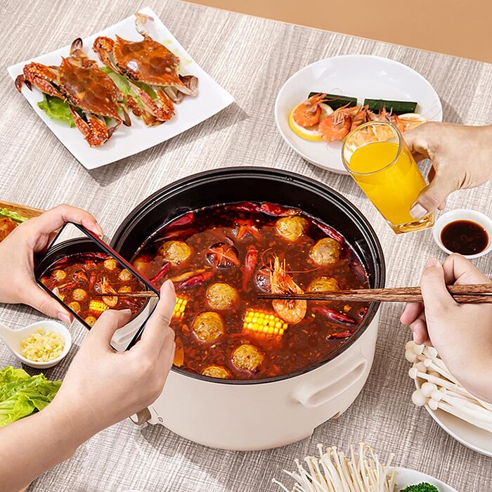 聲寶五公升日式多功能料理鍋TQ-B20501CL(奶茶色)