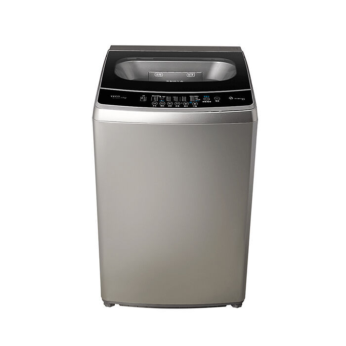 TECO東元 16公斤DD直驅變頻直立式洗衣機 W1669XS