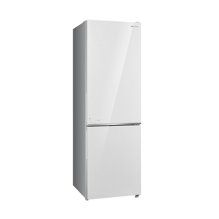 SANLUX台灣三洋 250公升一級能效變頻雙門冰箱 SR-V250BF