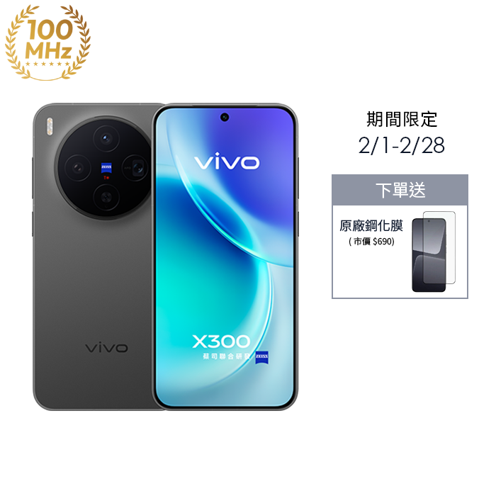 vivo X300 12G/256G (星辰黑)(5G)