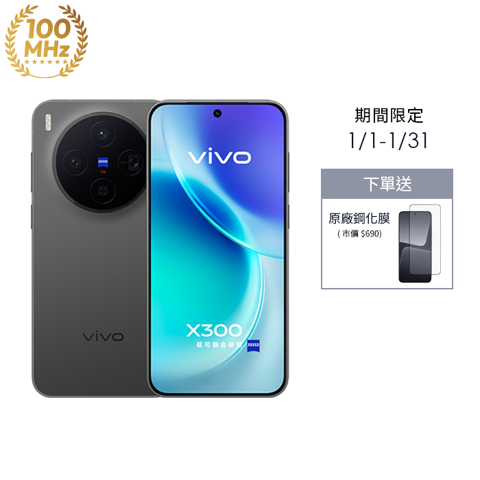 vivo X300 12G/256G (星辰黑)(5G)