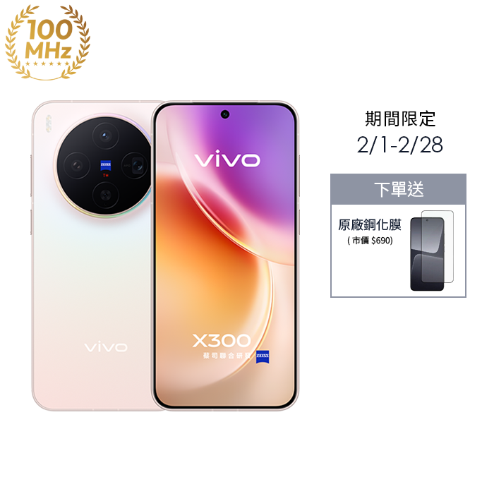 vivo X300 12G/256G (晨曦粉) (5G)