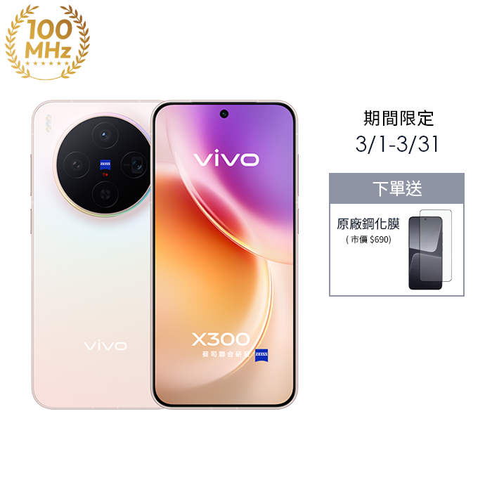 vivo X300 12G/256G (晨曦粉) (5G)