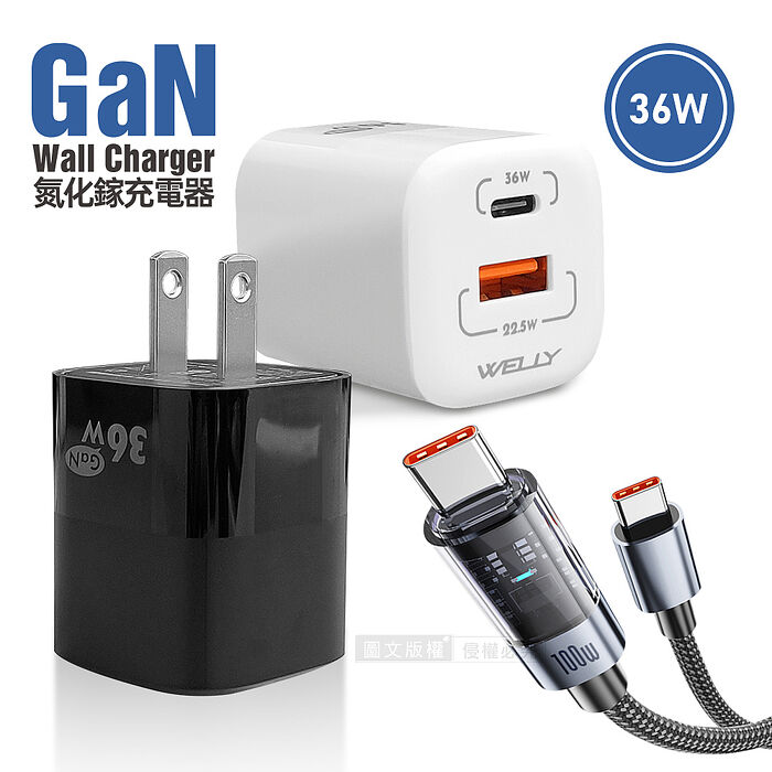 100W 極光芯 Type-C to Type-C 耐拉傳輸充電線+36W氮化鎵GaN 迷你雙孔充電器