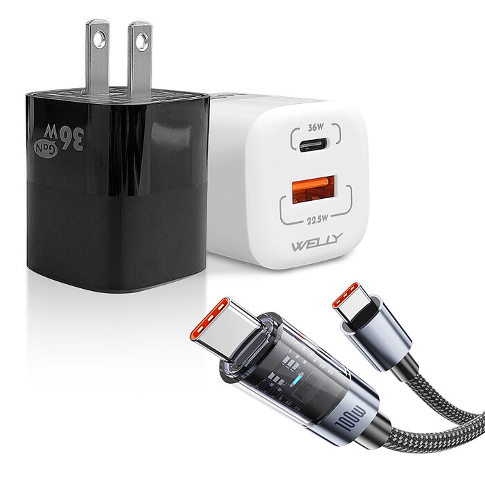 100W 極光芯 Type-C to Type-C 耐拉傳輸充電線+36W氮化鎵GaN 迷你雙孔充電器