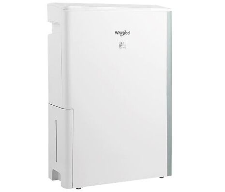 Whirlpool 惠而浦 Puri-Pro 10公升第六感智能清淨除濕機 DS202HDTW 湖水綠