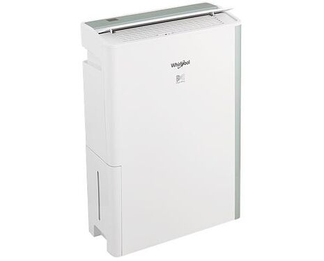 Whirlpool 惠而浦 Puri-Pro 10公升第六感智能清淨除濕機 DS202HDTW 湖水綠