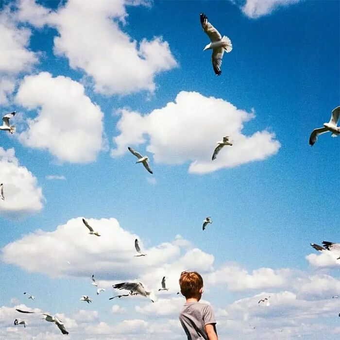 【柯達KODAK】Kodak柯達底片 ULTRAMAX 400 36張 135底片 彩色負片 400度彩色軟片 GC400 ( 三入組 )