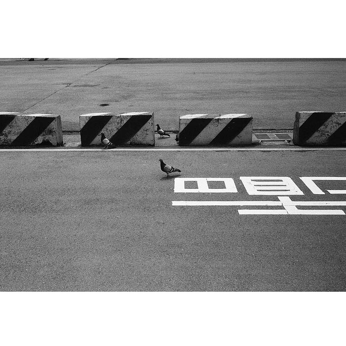 【Vetrokam】Vetrokam 歐洲沃克底片 黑白負片 黑白底片膠卷底片 iso400 27EXP