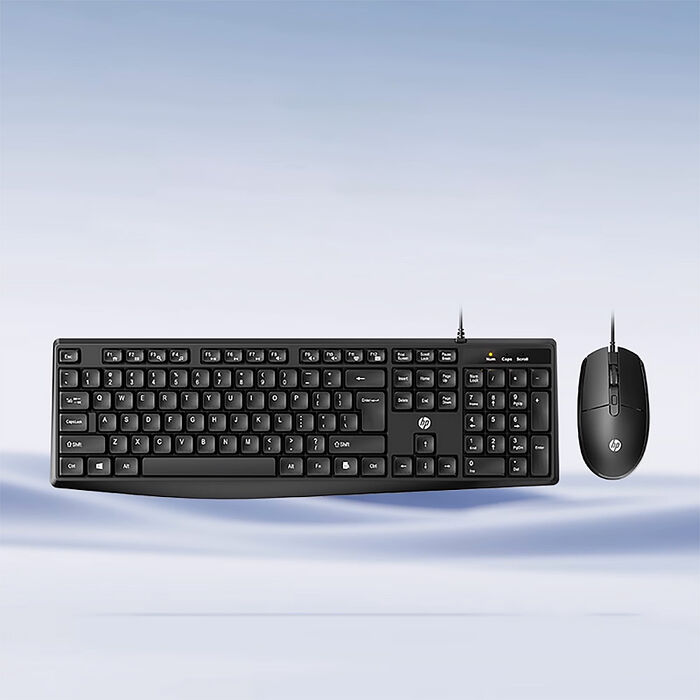 【HP 惠普】HP 惠普 KM10L 有線 鍵盤滑鼠組 ( 黑色 )