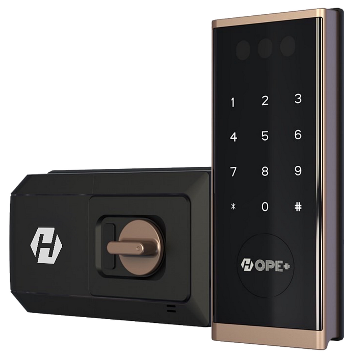 Hope+ Z6500W 3D多重防護電子智慧門鎖 (含標準配送及安裝)